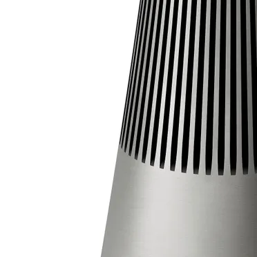 Loa Bluetooth B&O Beosound 2 Natural Brushed 1