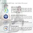 Máy Lọc Nước A. O. Smith Vita Plus
