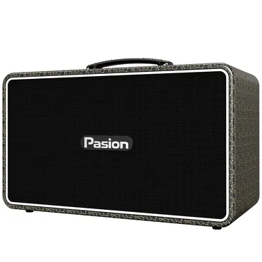 Loa Di Động Xách Tay Paramax PASION Arte (Golden Black) 3