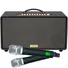 Loa Karaoke Xách Tay Acnos FLAC 36 Ver2 200W