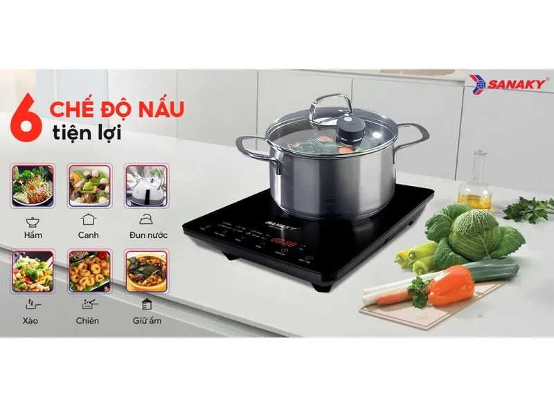 Bếp Từ Đơn Sanaky VH-3101HY 2000W