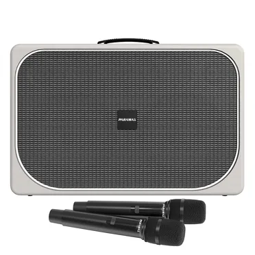 Loa Di Động Xách Tay Paramax Sono Max (Gray Leather)