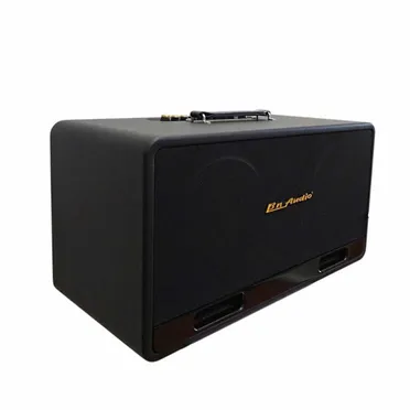 Loa Karaoke Xách Tay BN Audio BA 5500 VII 1