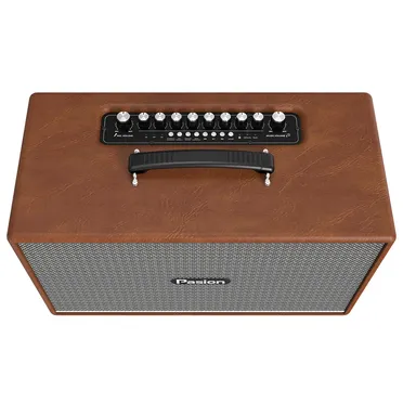 Loa Di Động Xách Tay Paramax PASION Enzo (Brown Leather) 1