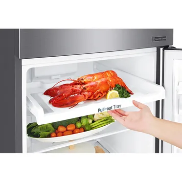 Tủ Lạnh LG Inverter 272 Lít GN-M255PS 10
