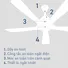 Quạt Trần F-48DGL 31W
