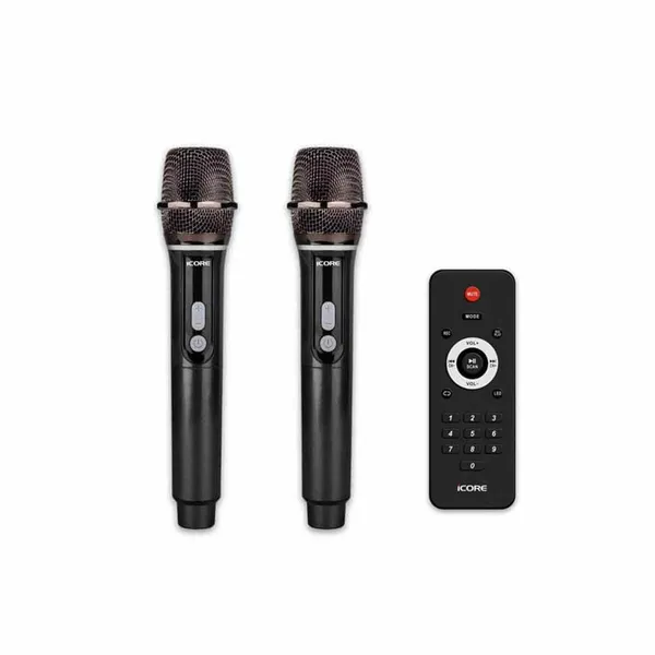 Loa Karaoke Di Động Icore ISM8