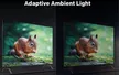 Google Tivi Skyworth 4K 55 Inch 55G6500G