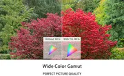 C&ocirc;ng nghệ Wide Colour Gamut tr&ecirc;n tivi TCL l&agrave; g&igrave;?