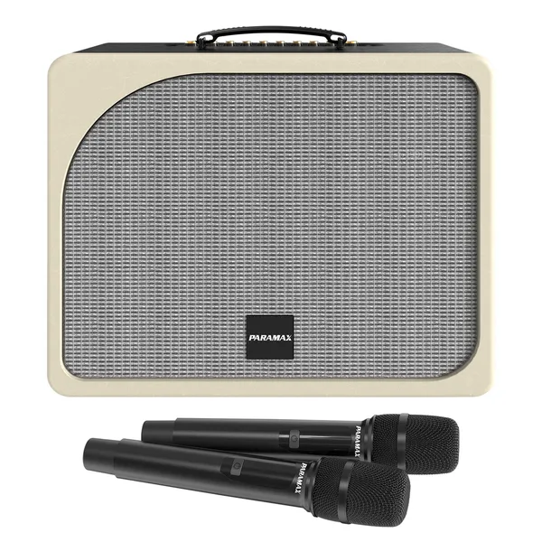 Loa Di Động Xách Tay Paramax Evox (Black Leather)