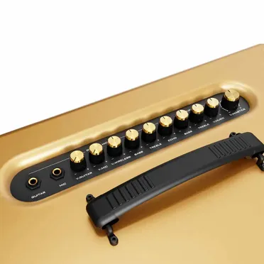 Loa Di Động Xách Tay Paramax PASION 2c (Màu Vàng) 3