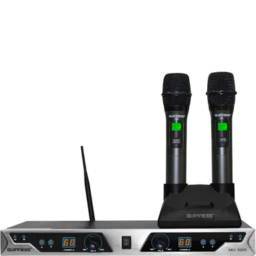 Micro Guinness MU-300i