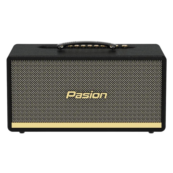 Loa Di Động Xách Tay Paramax PASION 2