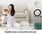 Máy Lọc Không Khí LG 360 Độ Alpha 1 Tầng Màu Vàng Be AS65GDBY0