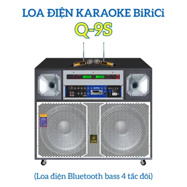 Loa Kéo BIRICI Q-9S 1