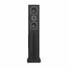 Loa Đứng Paramax Karaoke Và Nghe Nhạc LX-3800