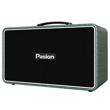 Loa Di Động Xách Tay Paramax PASION Arte (Golden Ocean) 0