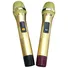 Loa Kéo Bn Audio BA 800V