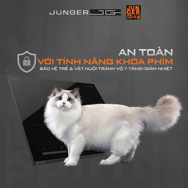 Bếp Điện Từ Ba Junger CEJ-300-IIF - Thái Lan