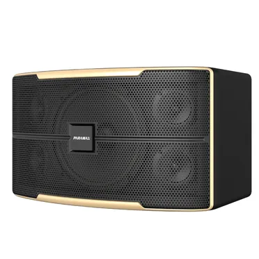 Loa Karaoke 12 Inches Paramax Z-2500 0