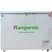 Tủ Đông Kangaroo 286 Lít KG399NC1 0
