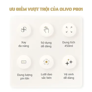 Máy Xay Sinh Tố Cầm Tay Olivo PB01 3