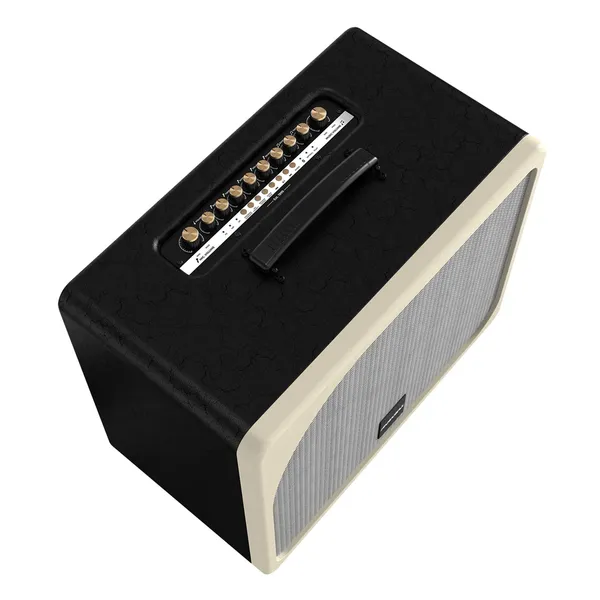 Loa Di Động Xách Tay Paramax Evox Max (Black Leather)