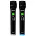 Micro Không Dây Tích Hợp DSP PASION ECHO 0