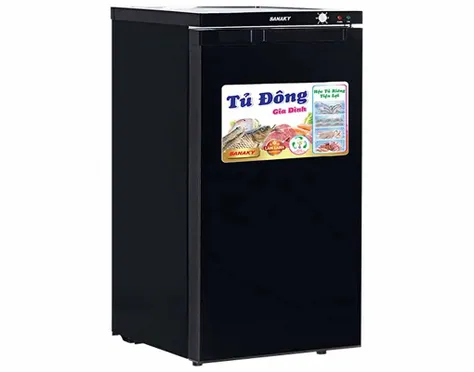Tủ Đông Sanaky Inverter 118 Lít VH-160K3