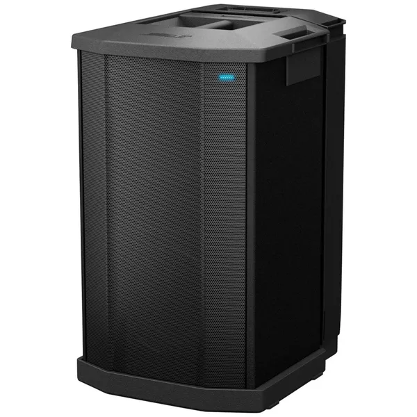 Loa Bose F1 Subwoofer