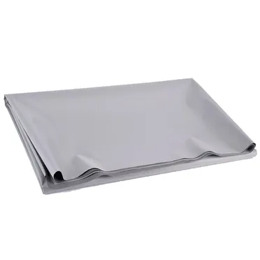 Màn Chiếu Projector Screen Ecor PAC100-SFC01 1
