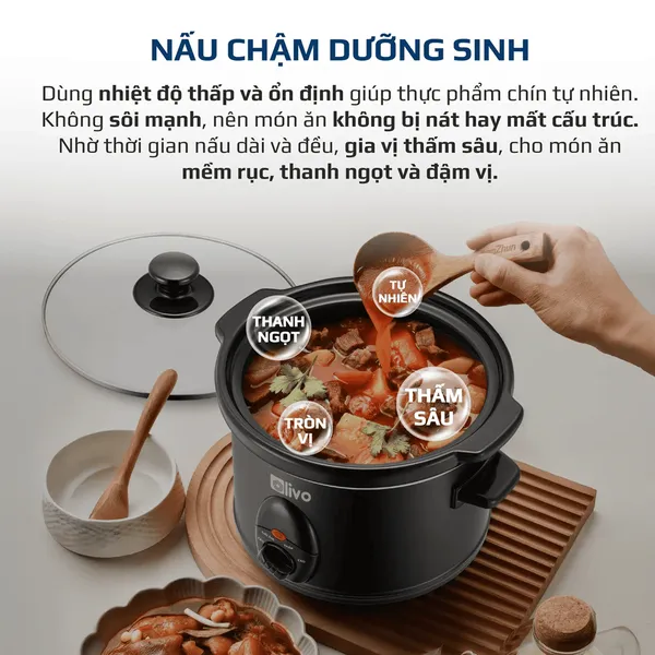 Nồi Nấu Chậm Olivo SC30 3 Lít