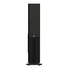 Loa Đứng PARAMAX D88 Limited (Walnut)
