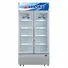 Tủ Mát Alaska 600 Lít LC-600C