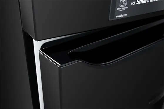 Tủ Lạnh LG Inverter 315 Lít GN-D315BL 8