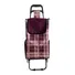 Xe Kéo Đi Chợ Kèm Túi Fujihome ST-30AF