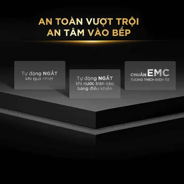 Bếp Từ Đôi BlueStone ICB-6949 5200W - Xuất Xứ Thái Lan 2