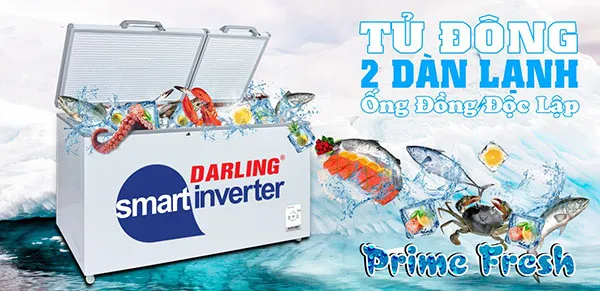 Tủ đông Darling đến từ nước nào? Có tốt hay không?