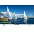 TCL Android Tivi 4K 55 Inch 55P725