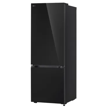 Tủ Lạnh LG Inverter 335 Lít B33BG 0