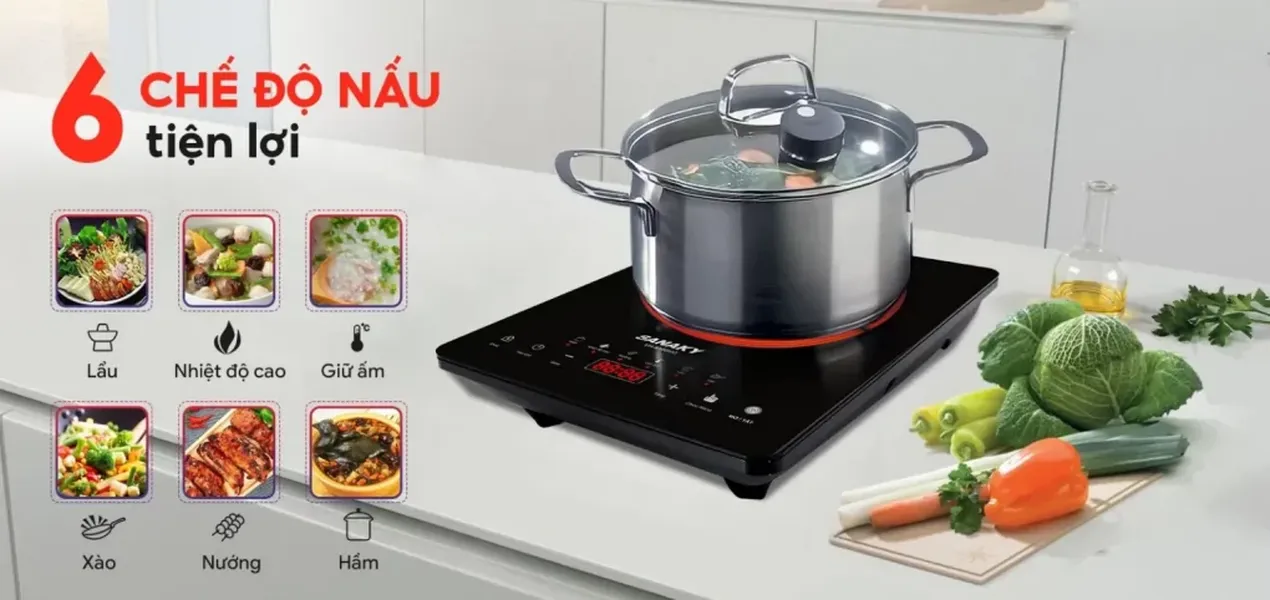 Bếp Hồng Ngoại Đơn Sanaky VH-6100HG