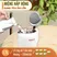 Ấm Đun Siêu Tốc 2 Lớp Masuto MSNAMI 1.7 Lít 1