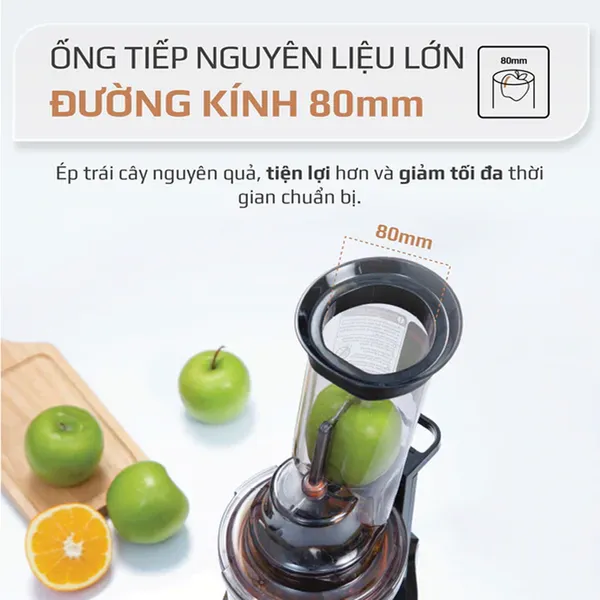 Máy Ép Chậm Olivo SJ200
