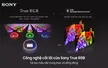 Google TiVi True RGB Sony 75 Inch BRAVIA 9 II K-75XR90M2