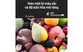 Google Tivi OLED Sony 4K 55 Inch XR-55A80K 1