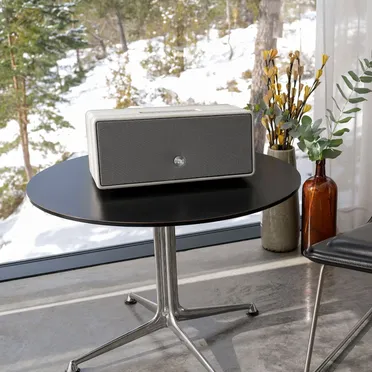 Loa Audio Pro D-1 2