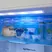 Tủ Lạnh Panasonic Inverter 306 Lít NR-TV341BPKV 3