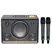 Loa Karaoke Di Động Acnos D'Auris 300 (Đen) 1