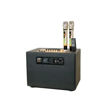 Loa Xách Tay Hiệu Boston Audio BA 9999 VII 3