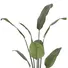 Chậu Cây Chuối Cảnh JWS2808